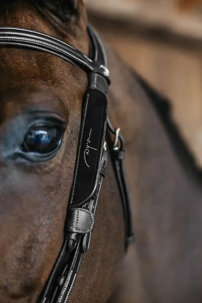 Dyon Blinkers With Fancy Stitching - Løwenborg - Dy'on