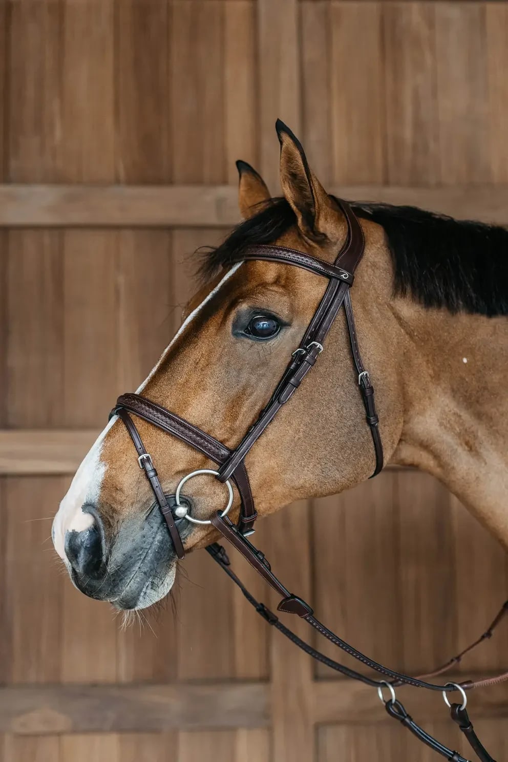 Dyon Plaited Flash Noseband Bridle New English Collection - Løwenborg - Dy'on