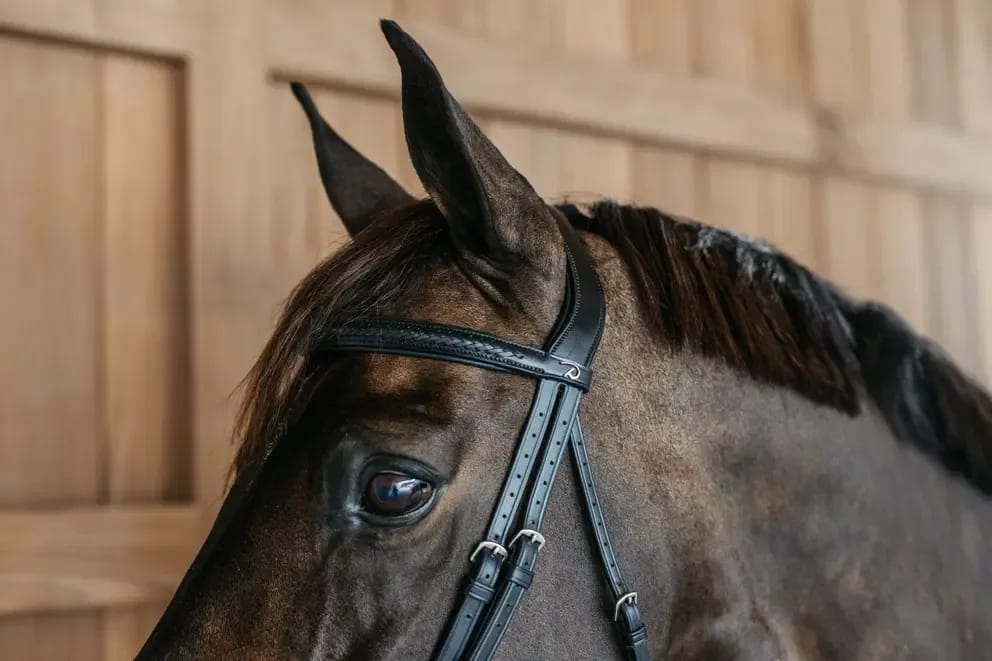 Dyon Plaited Flash Noseband Bridle New English Collection - Løwenborg - Dy'on