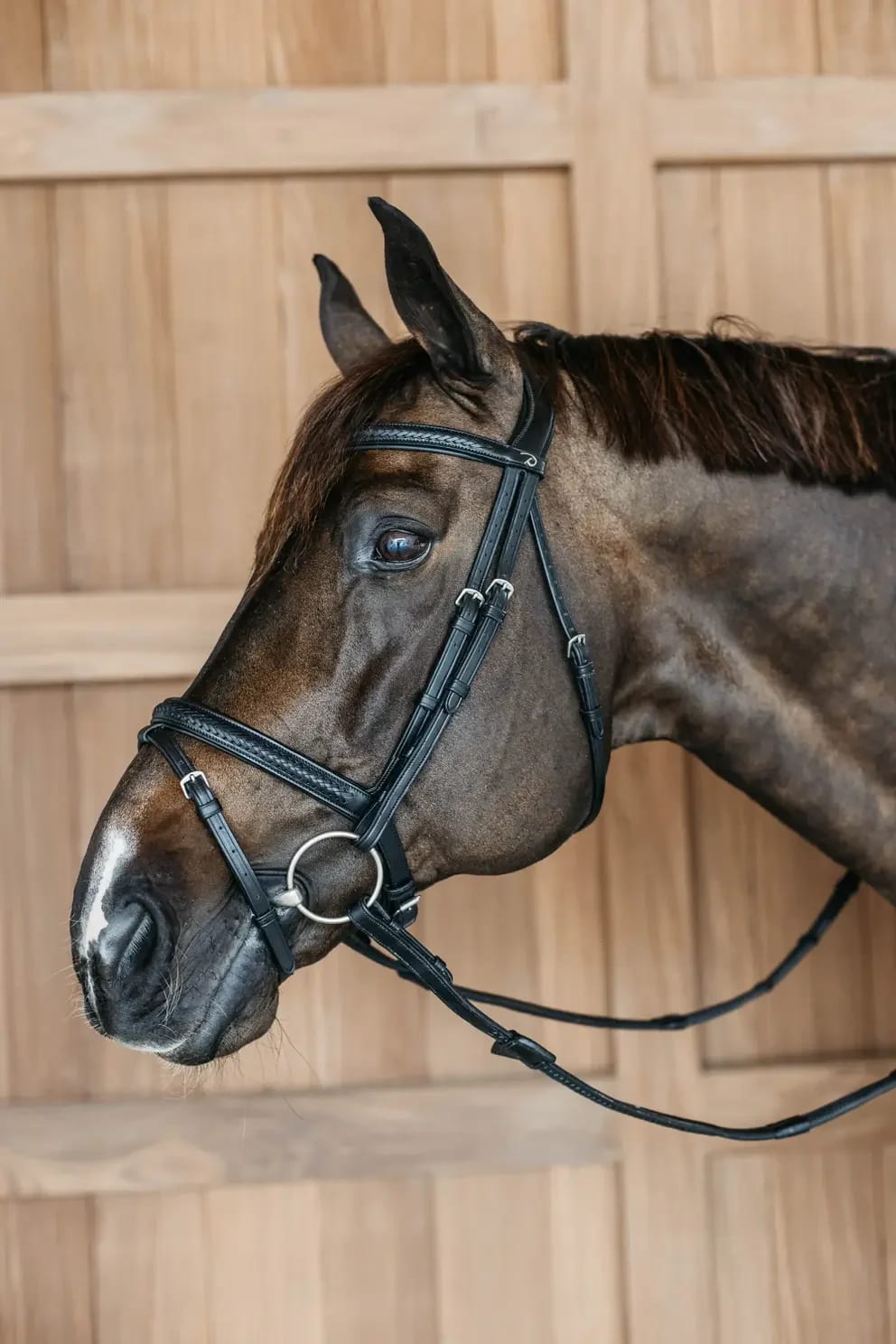 Dyon Plaited Flash Noseband Bridle New English Collection - Løwenborg - Dy'on