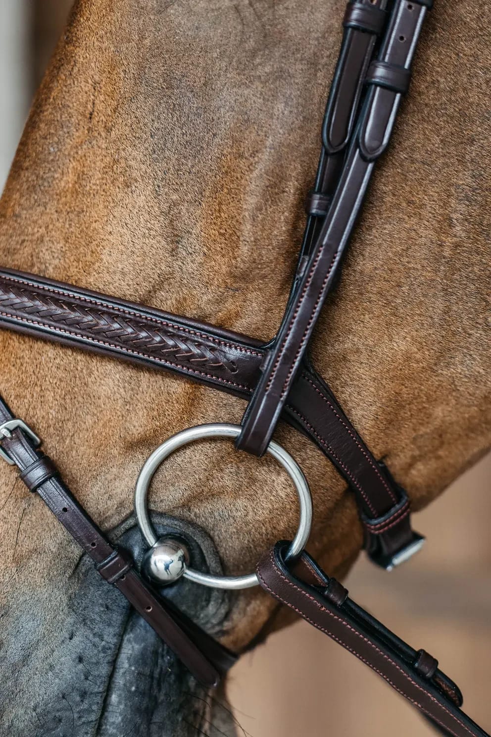 Dyon Plaited Flash Noseband Bridle New English Collection - Løwenborg - Dy'on