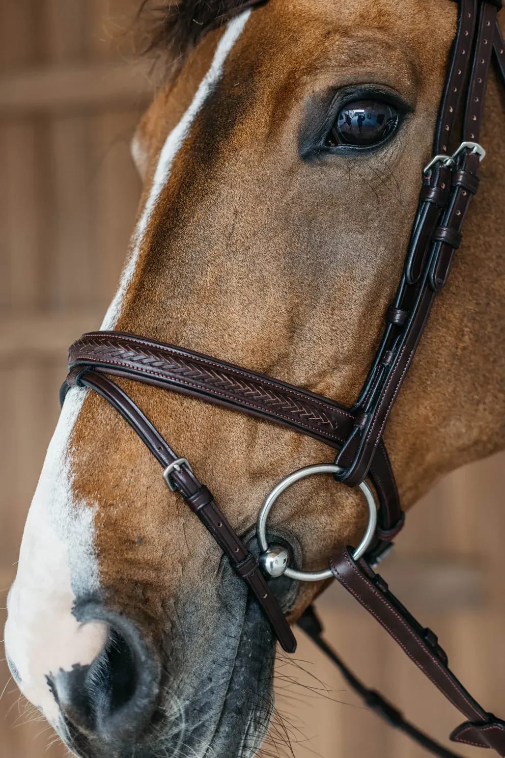 Dyon Plaited Flash Noseband Bridle New English Collection - Løwenborg - Dy'on