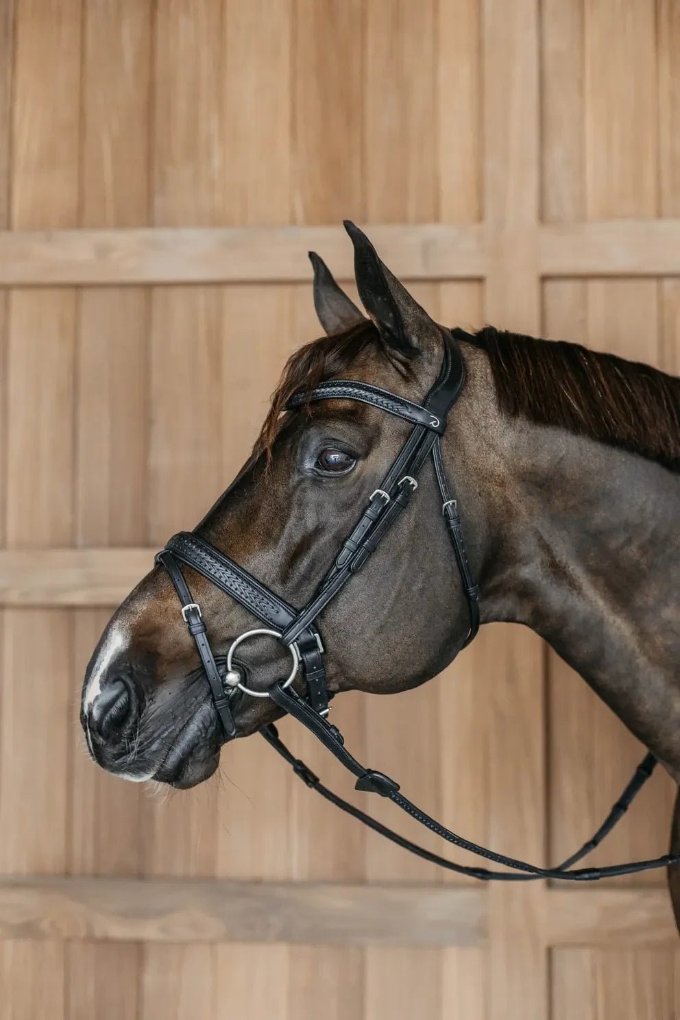 Dyon Plaited Flash Noseband Bridle with Pull back New English Collection - Løwenborg - Dy'on