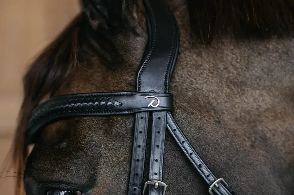 Dyon Plaited Flash Noseband Bridle with Pull back New English Collection - Løwenborg - Dy'on