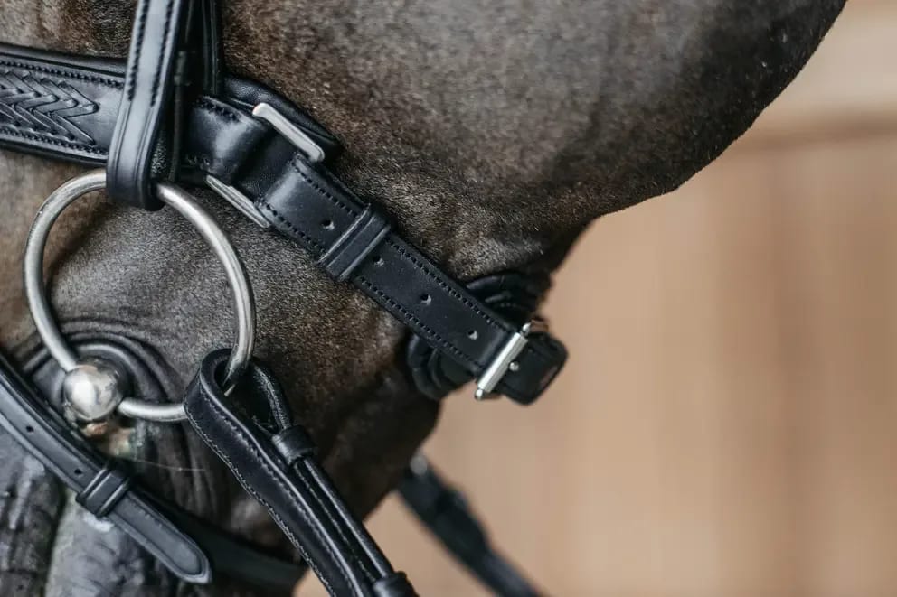 Dyon Plaited Flash Noseband Bridle with Pull back New English Collection - Løwenborg - Dy'on