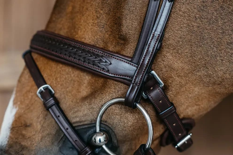 Dyon Plaited Flash Noseband Bridle with Pull back New English Collection - Løwenborg - Dy'on