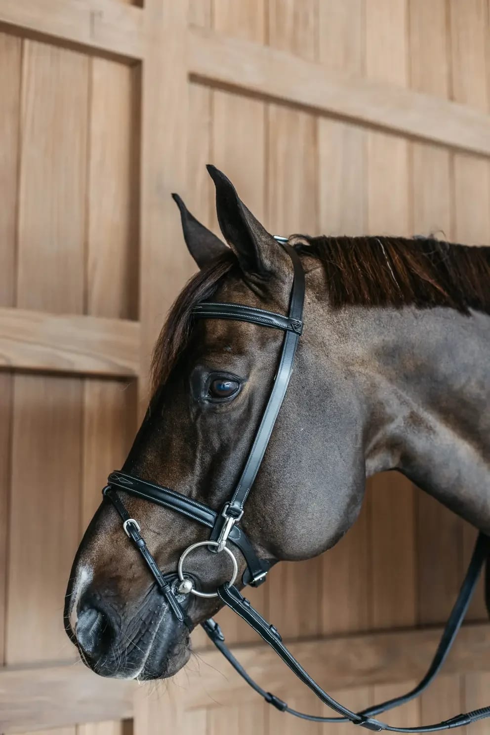 Dyon Training Bridle Working By Dyon - Løwenborg - Dy'on