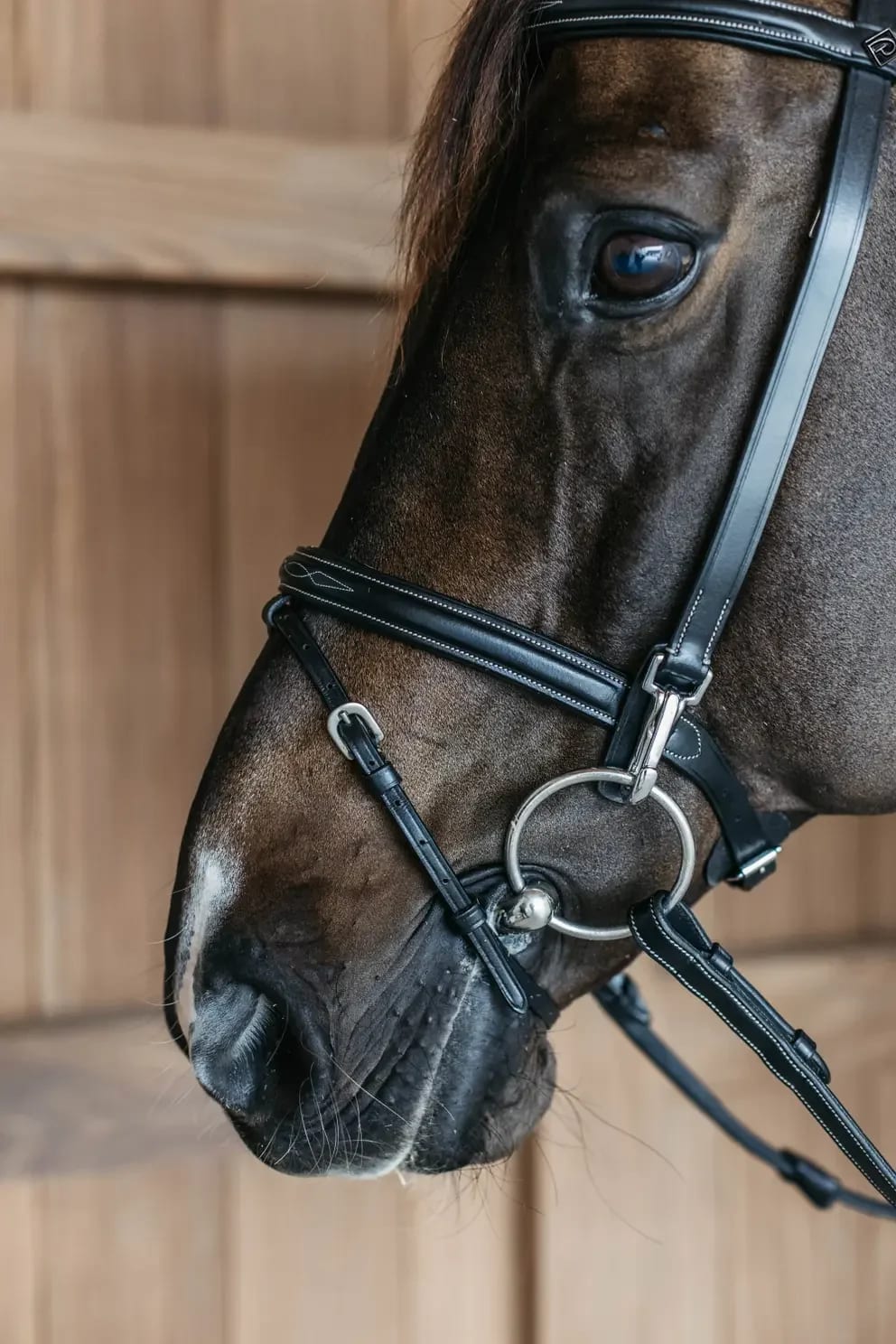 Dyon Training Bridle Working By Dyon - Løwenborg - Dy'on