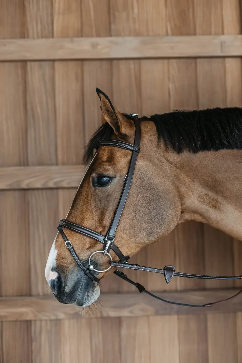 Dyon Training Bridle Working By Dyon - Løwenborg - Dy'on