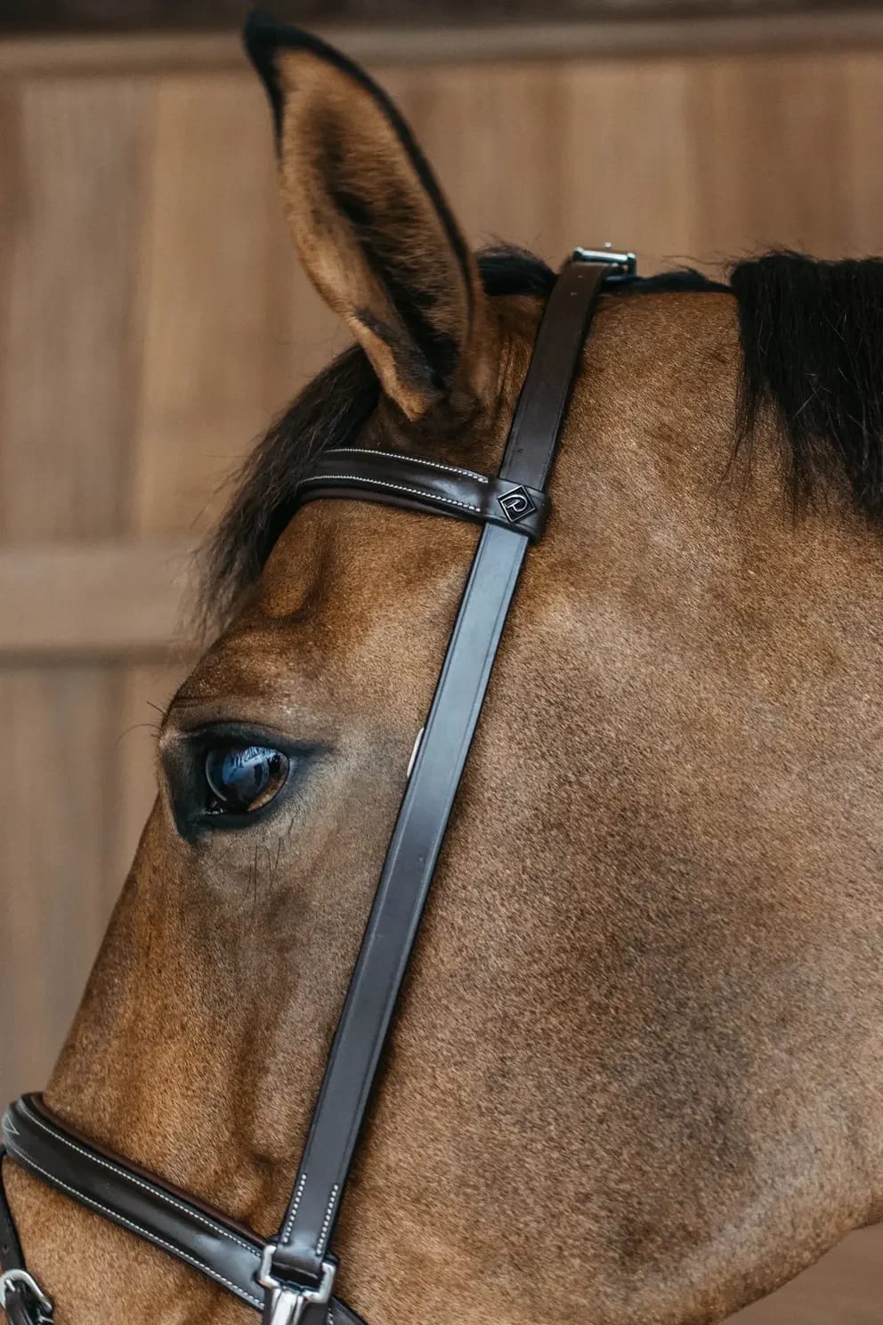Dyon Training Bridle Working By Dyon - Løwenborg - Dy'on