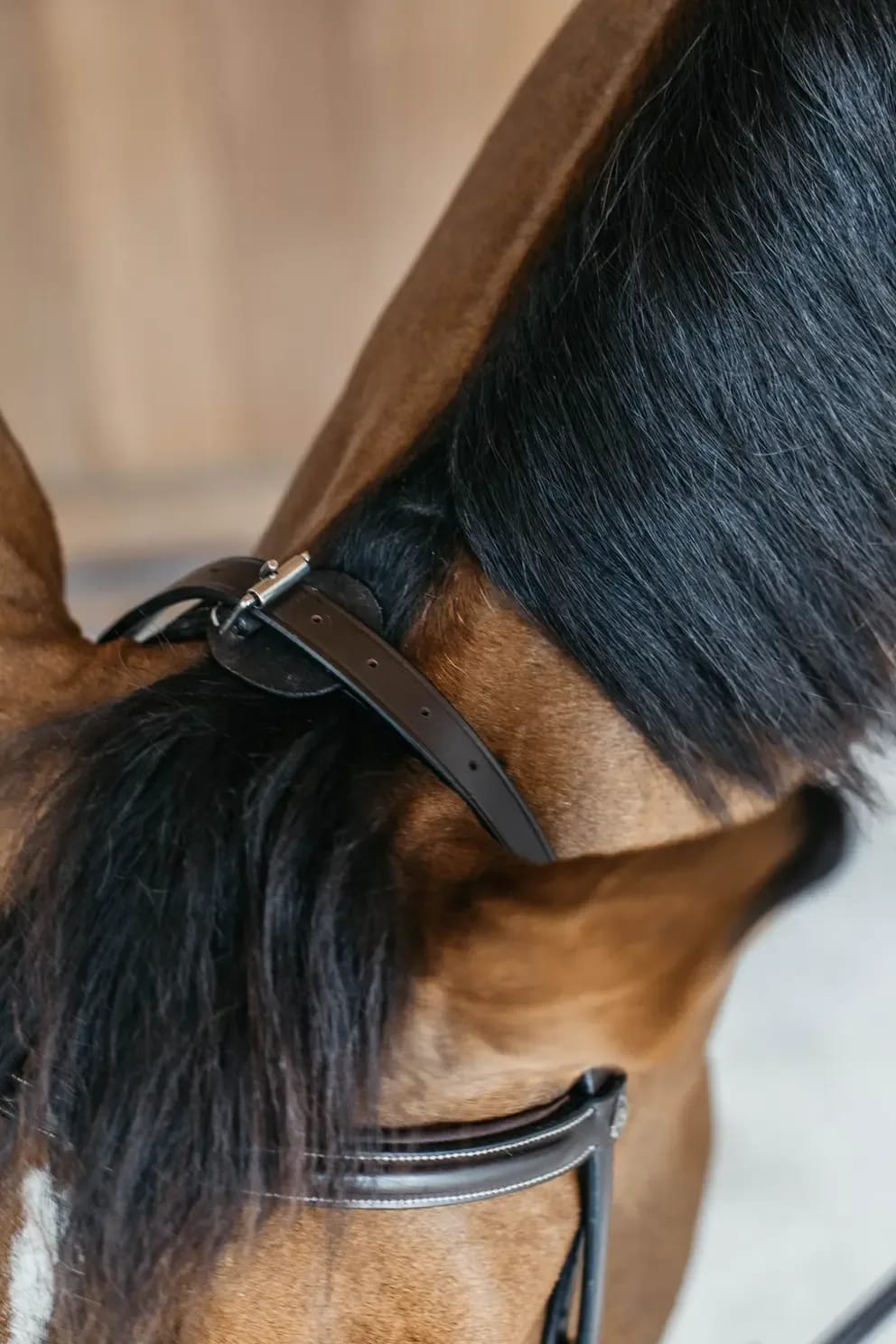 Dyon Training Bridle Working By Dyon - Løwenborg - Dy'on