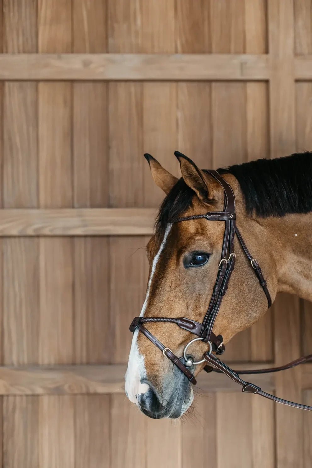 Dyon Braided Flash Noseband Bridle D Collection - Løwenborg - Dy'on