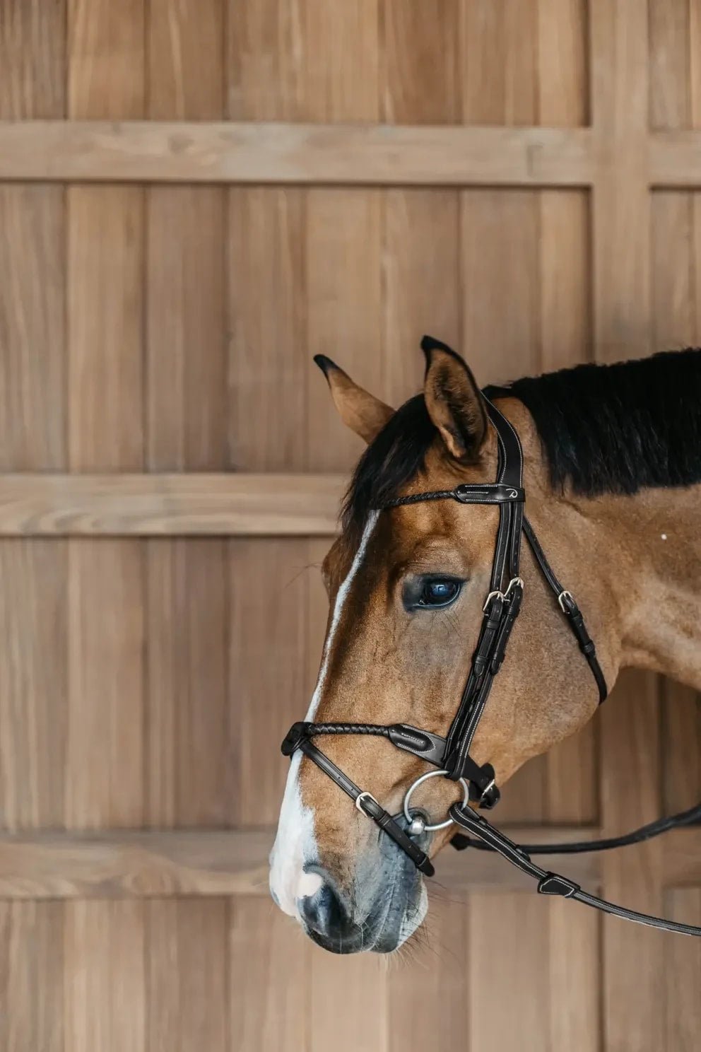 Dyon Braided Flash Noseband Bridle D Collection - Løwenborg - Dy'on