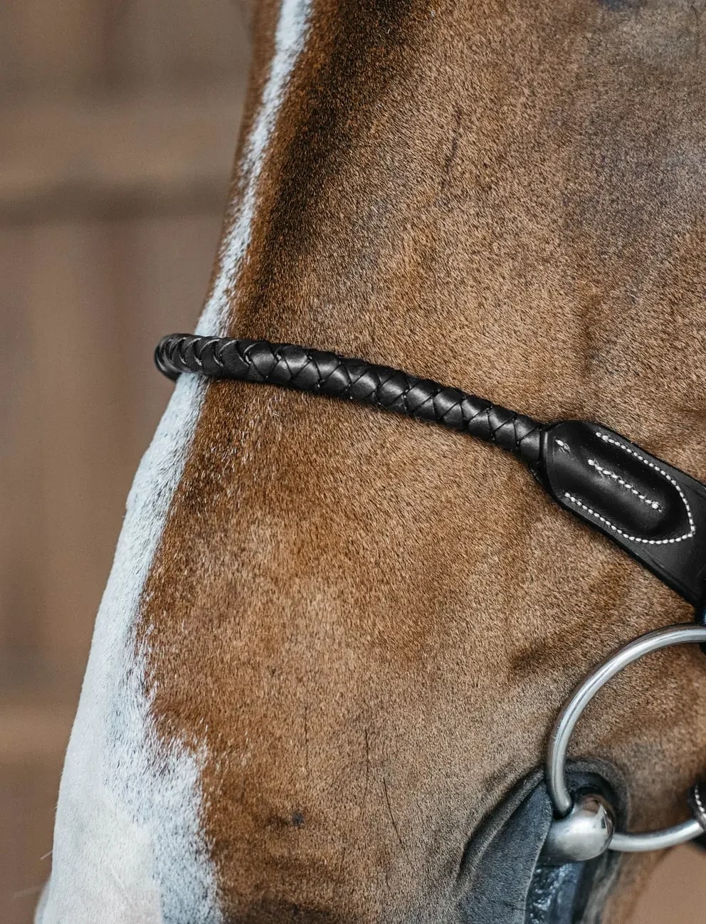 Dyon Braided Flash Noseband Bridle D Collection - Løwenborg - Dy'on