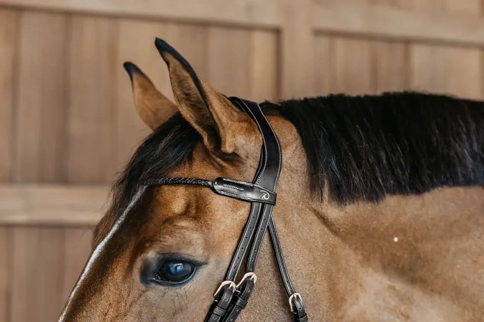 Dyon Braided Flash Noseband Bridle D Collection - Løwenborg - Dy'on