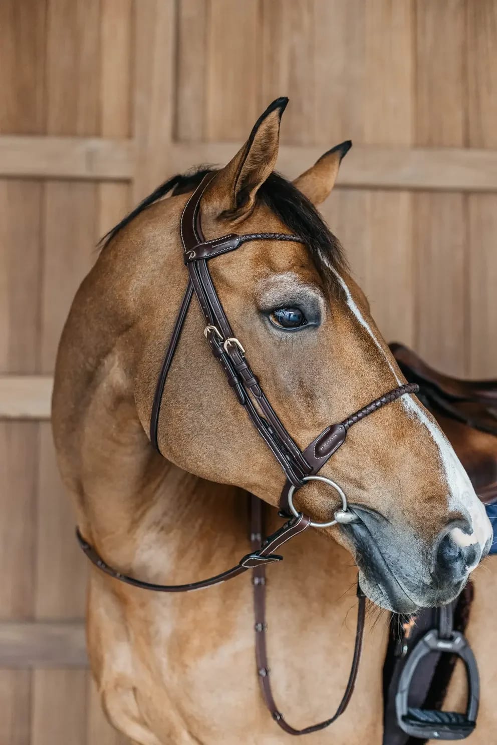 Dyon Braided Flash Noseband Bridle D Collection - Løwenborg - Dy'on
