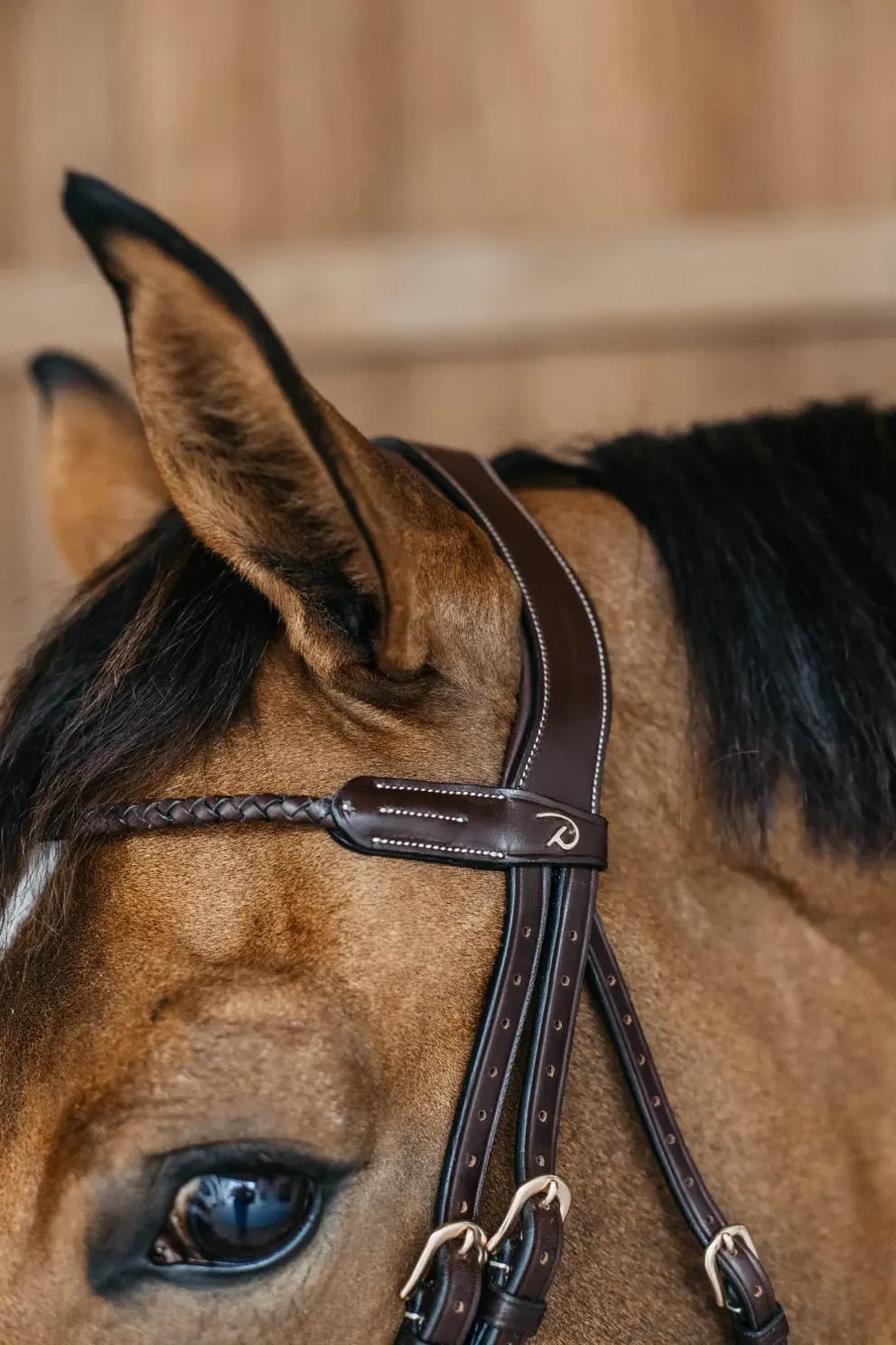 Dyon Braided Flash Noseband Bridle D Collection - Løwenborg - Dy'on