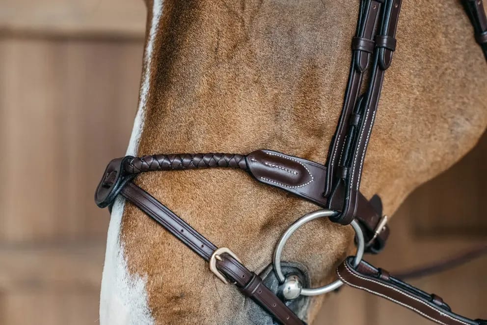 Dyon Braided Flash Noseband Bridle D Collection - Løwenborg - Dy'on