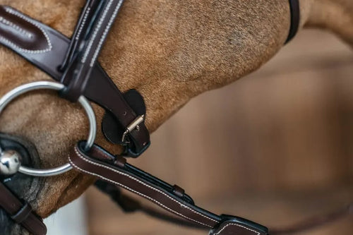 Dyon Braided Flash Noseband Bridle D Collection - Løwenborg - Dy'on