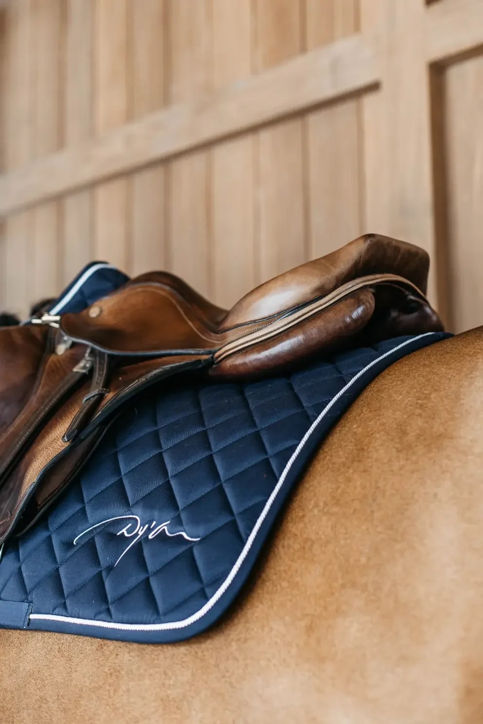 Dyon Diamond Saddle Pad Jumping - Løwenborg - Dy'on