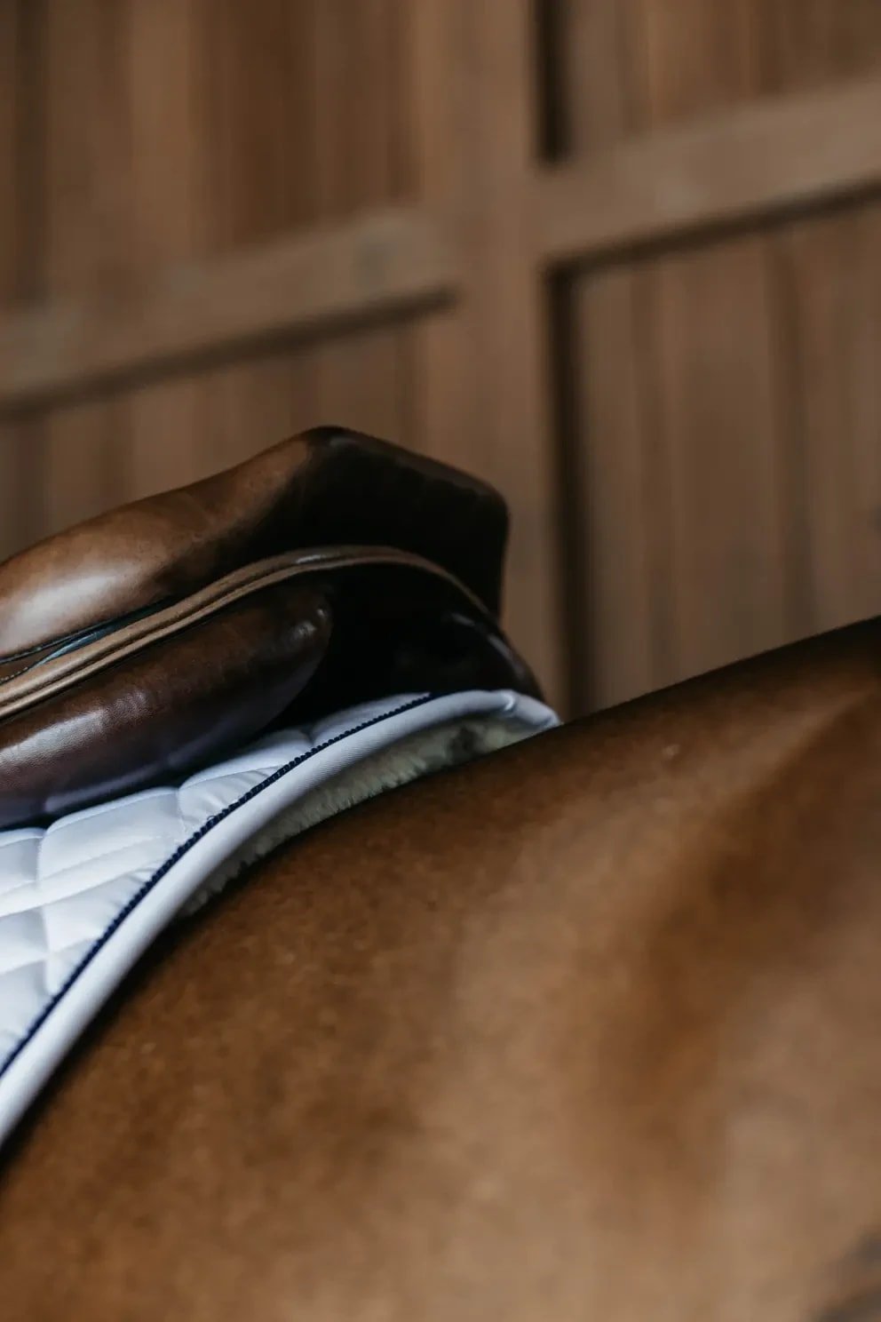 Dyon Skin Friendly Saddle Pad Jumping - Løwenborg - Dy'on