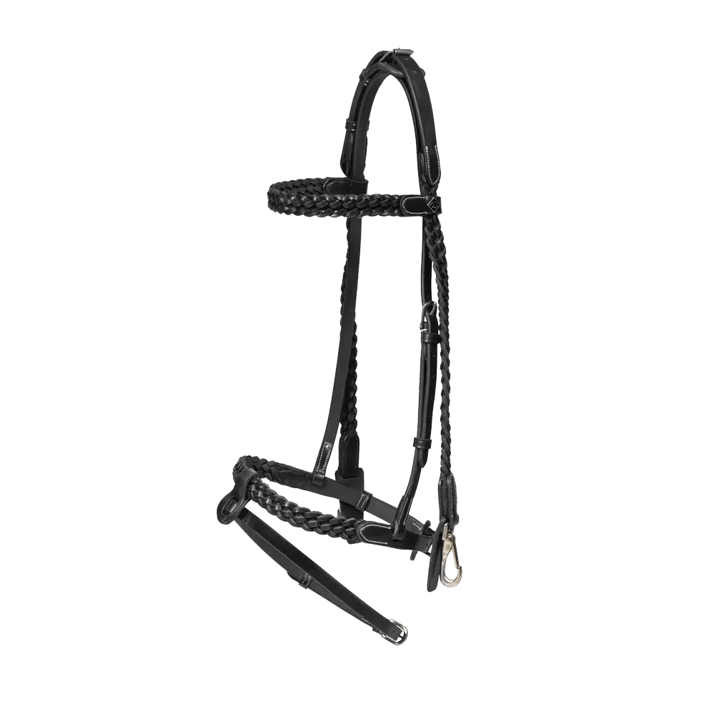 Dyon Plaited Training Bridle