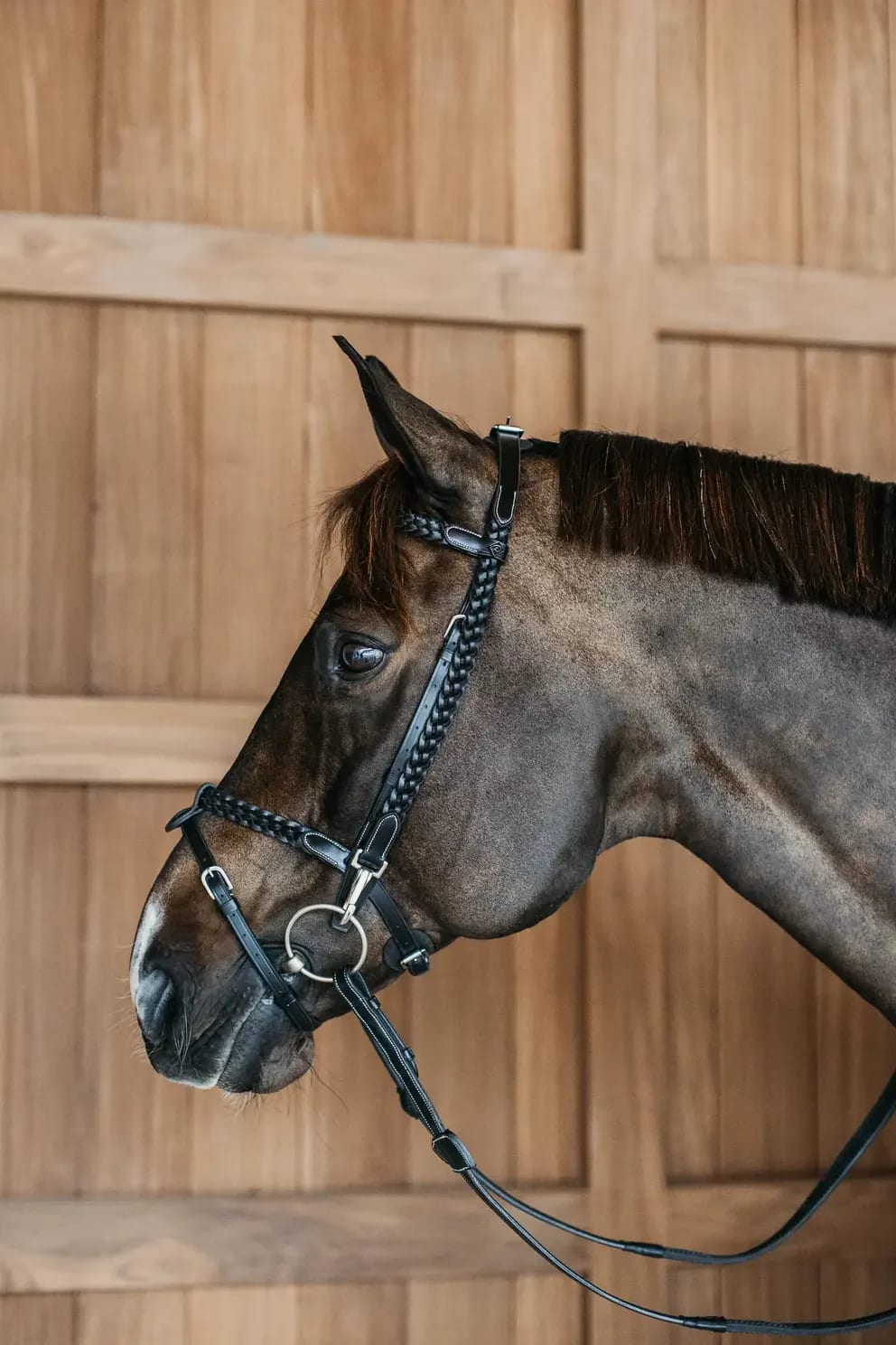 Dyon Plaited Training Bridle - Løwenborg - Dy'on