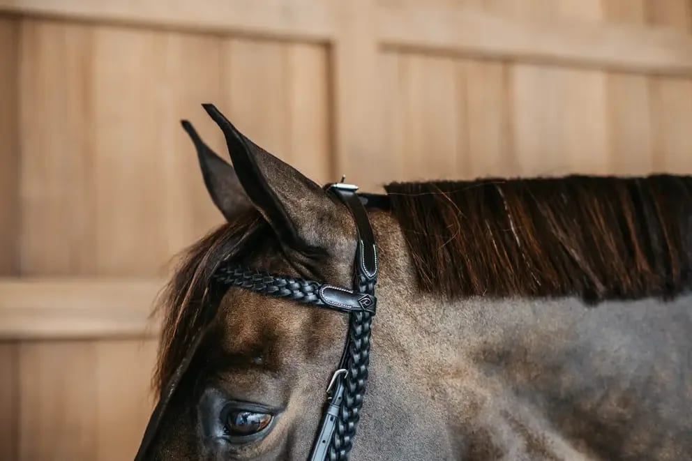 Dyon Plaited Training Bridle - Løwenborg - Dy'on