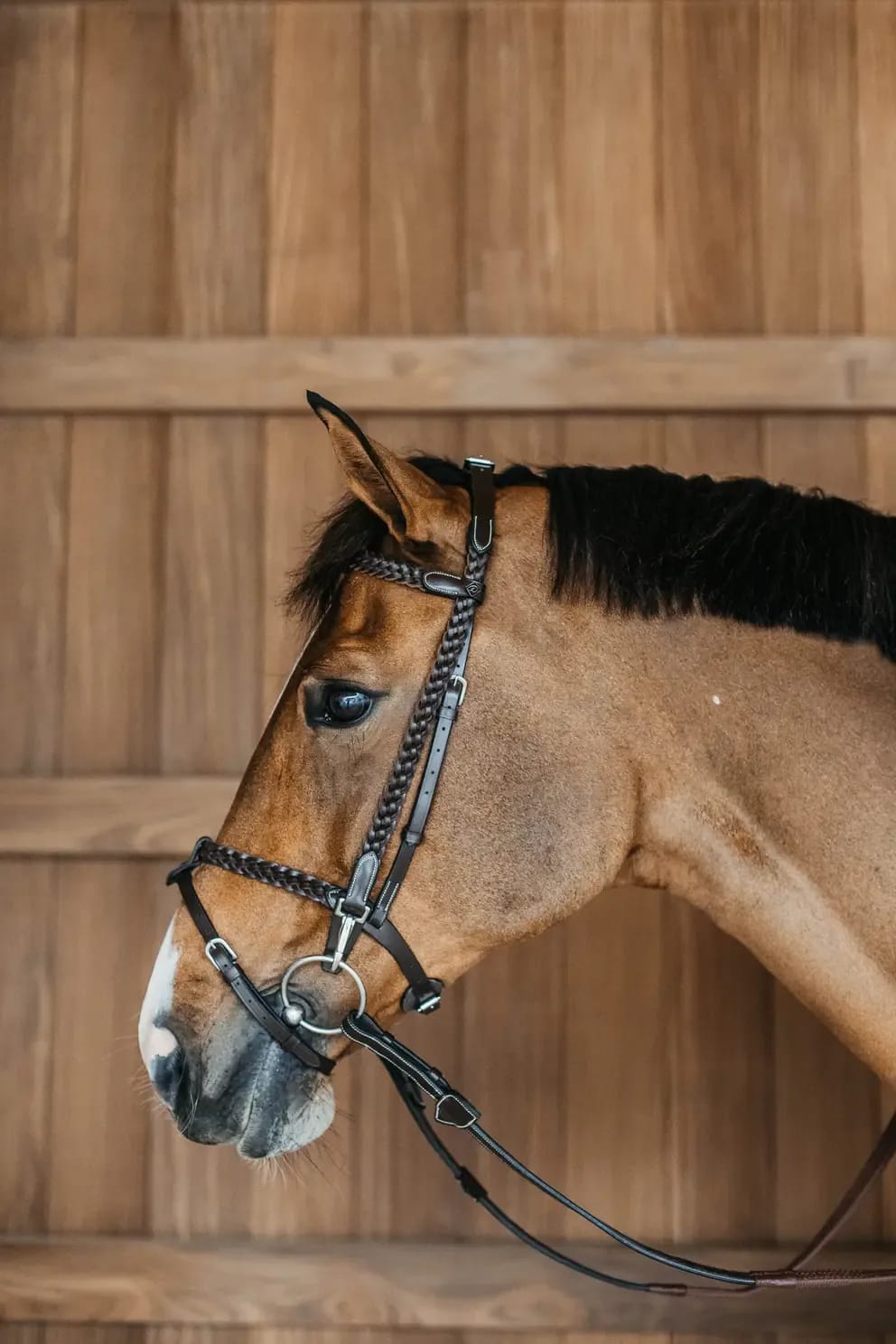 Dyon Plaited Training Bridle - Løwenborg - Dy'on