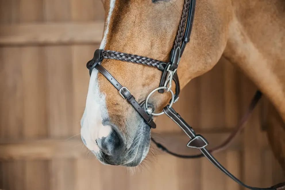 Dyon Plaited Training Bridle - Løwenborg - Dy'on