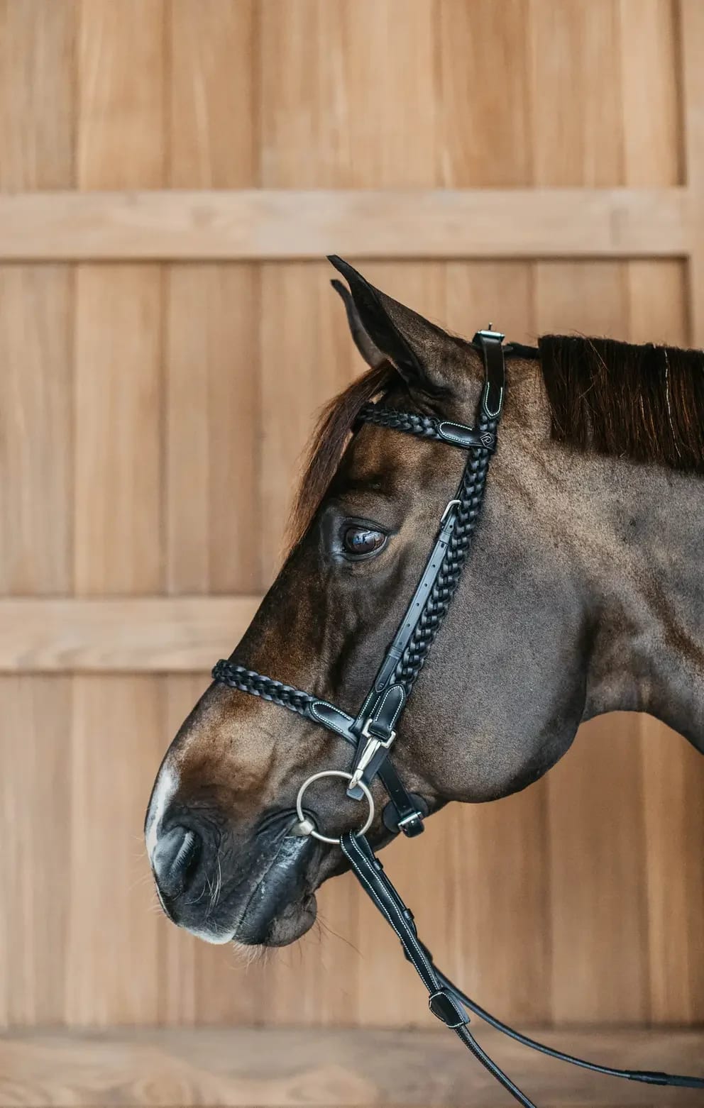 Dyon Plaited Training Bridle - Løwenborg - Dy'on
