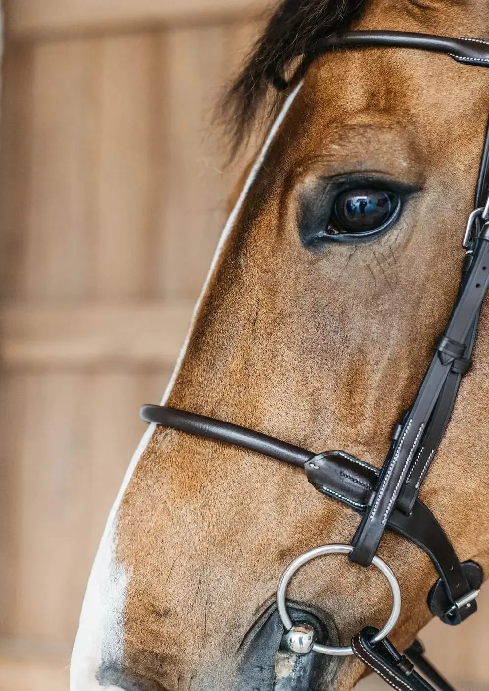 Dyon Round Leather Bridle Working By Dyon - Løwenborg - Dy'on