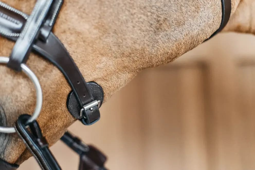 Dyon Round Leather Bridle Working By Dyon - Løwenborg - Dy'on