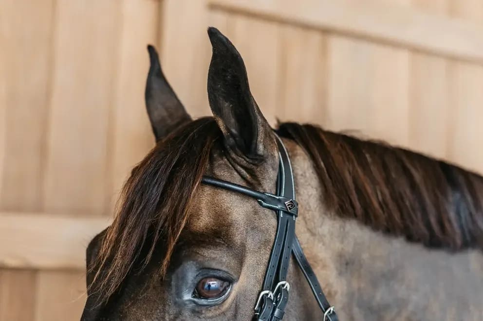 Dyon Round Leather Bridle Working By Dyon - Løwenborg - Dy'on