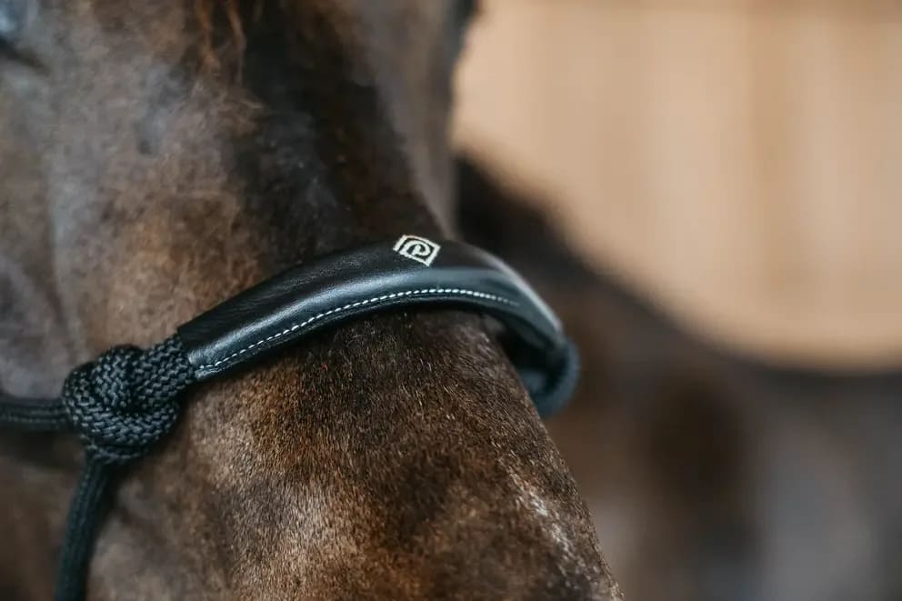 Dyon Training Halter Working By Dyon - Løwenborg - Dy'on