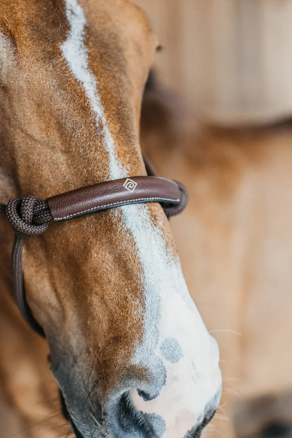 Dyon Training Halter Working By Dyon - Løwenborg - Dy'on