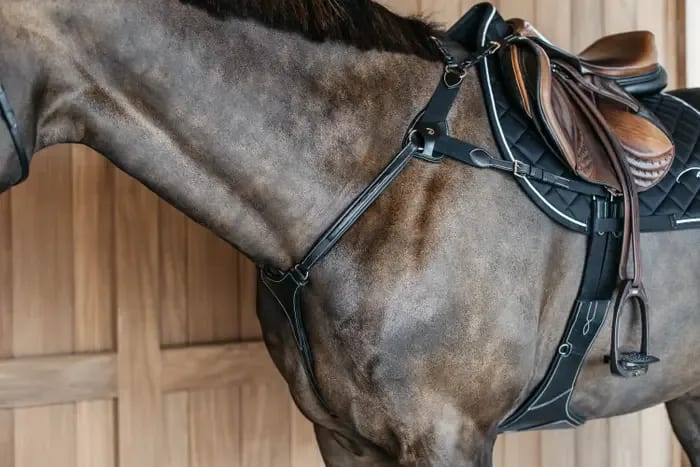Dyon 5 Points Breastplate w/Elastic D Collection - Løwenborg - Dy'on