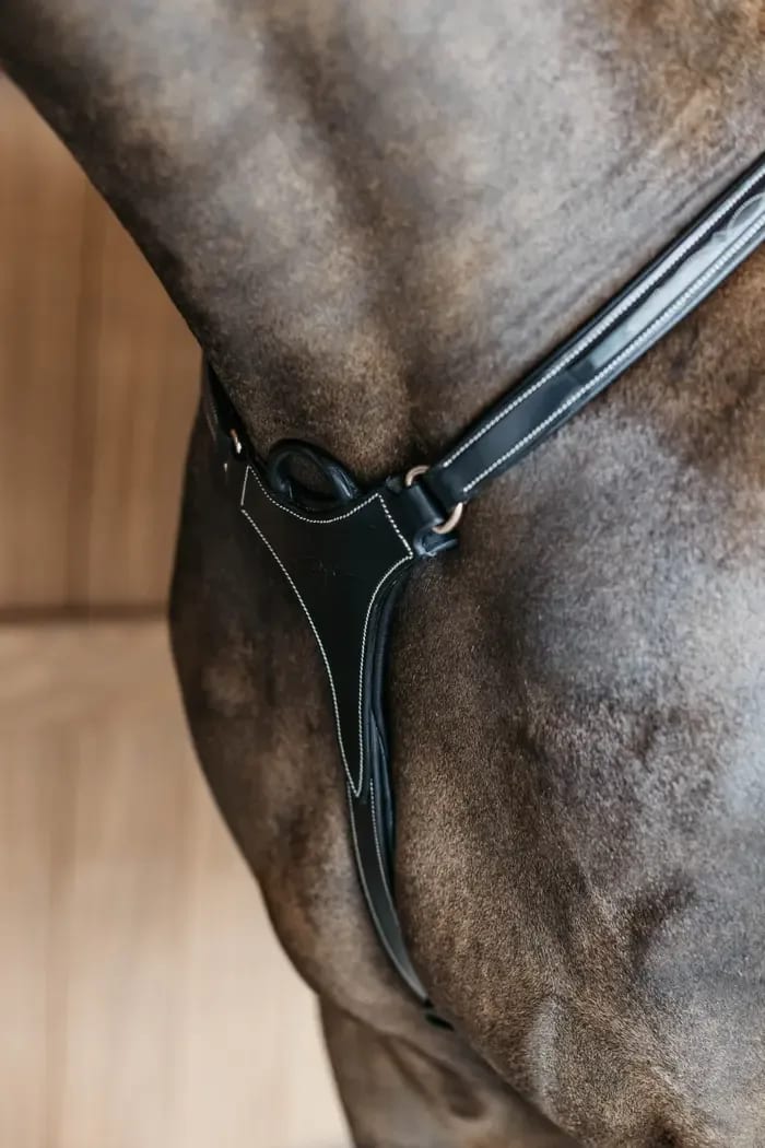 Dyon 5 Points Breastplate w/Elastic D Collection - Løwenborg - Dy'on