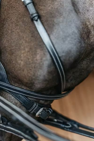 Dyon Working Motion Bridle Working By Dyon