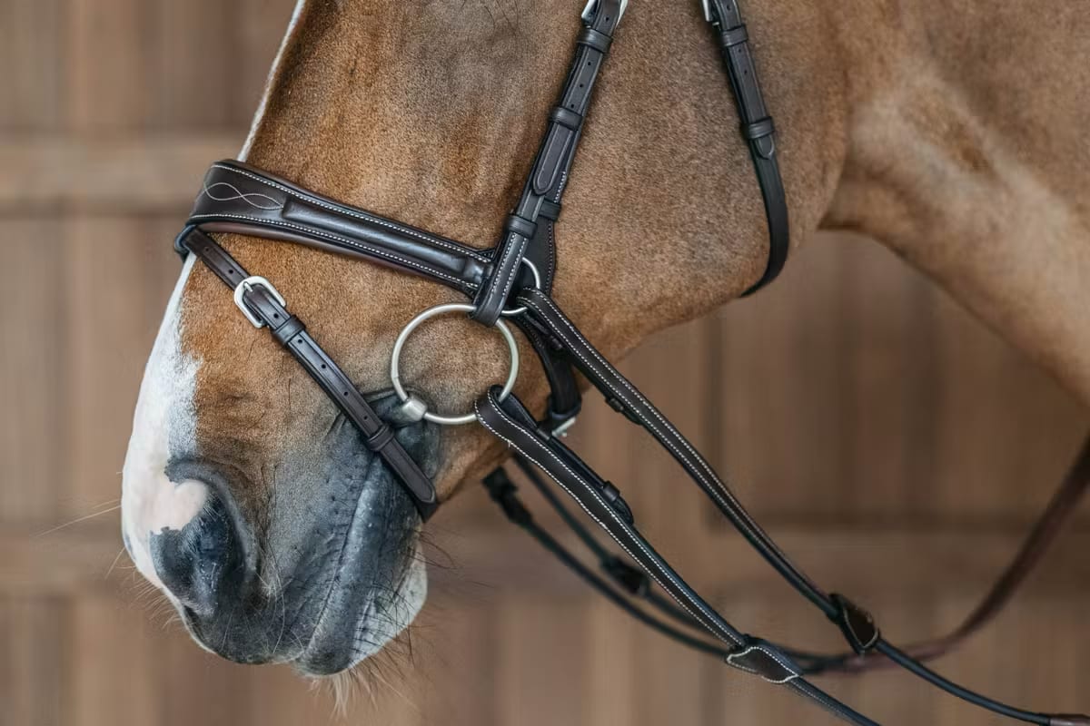 Dyon Working Motion Bridle Working By Dyon