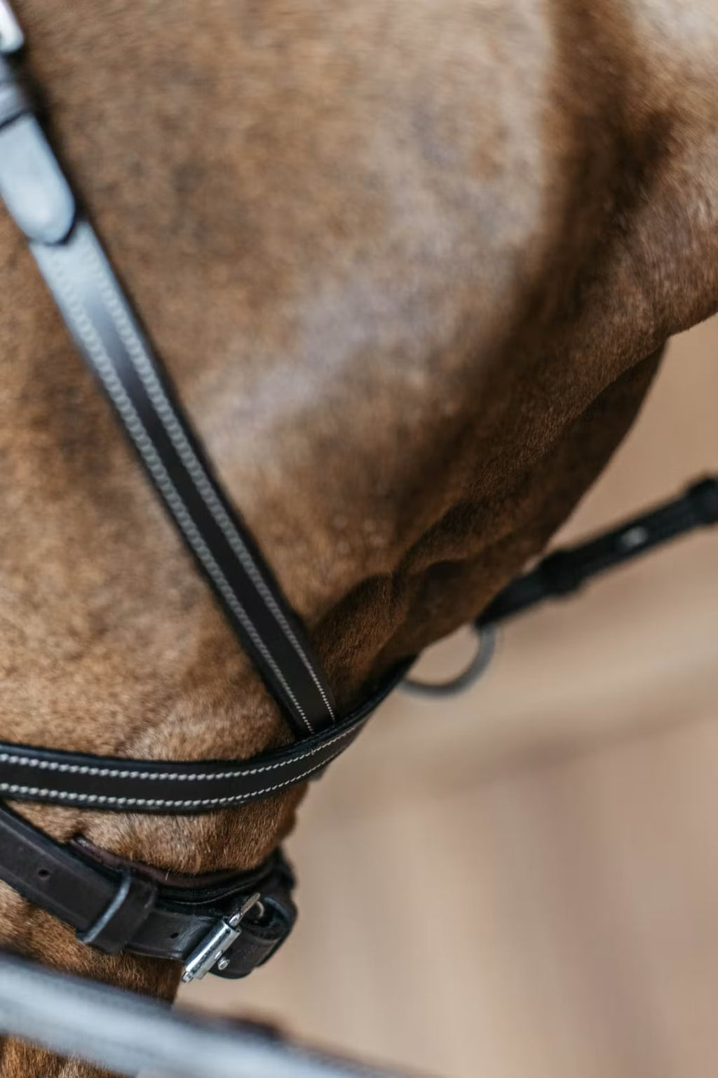 Dyon Working Motion Bridle Working By Dyon