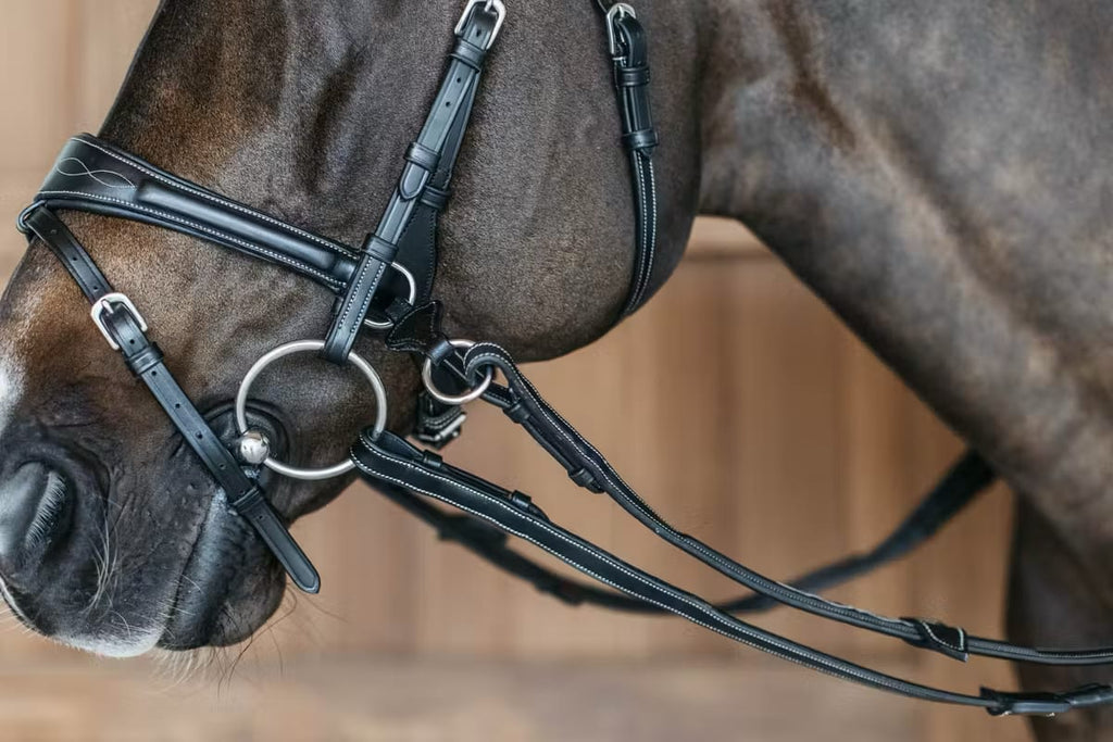 Dyon Working Motion Bridle Working By Dyon