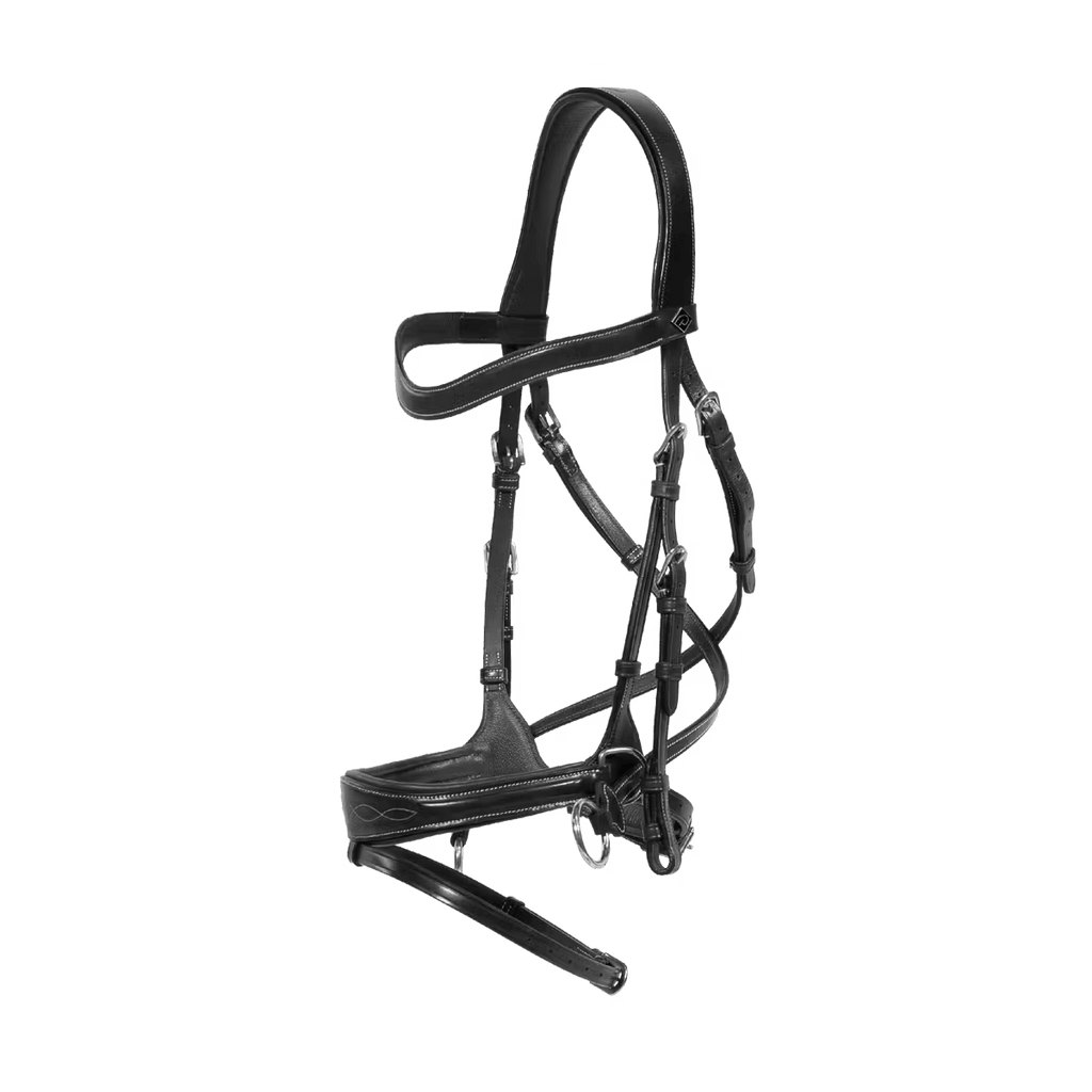 Dyon Working Motion Bridle Working By Dyon