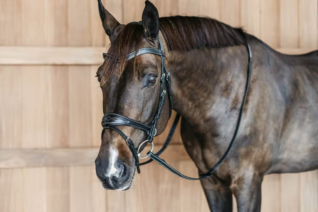 Dyon Working Motion Bridle Working By Dyon