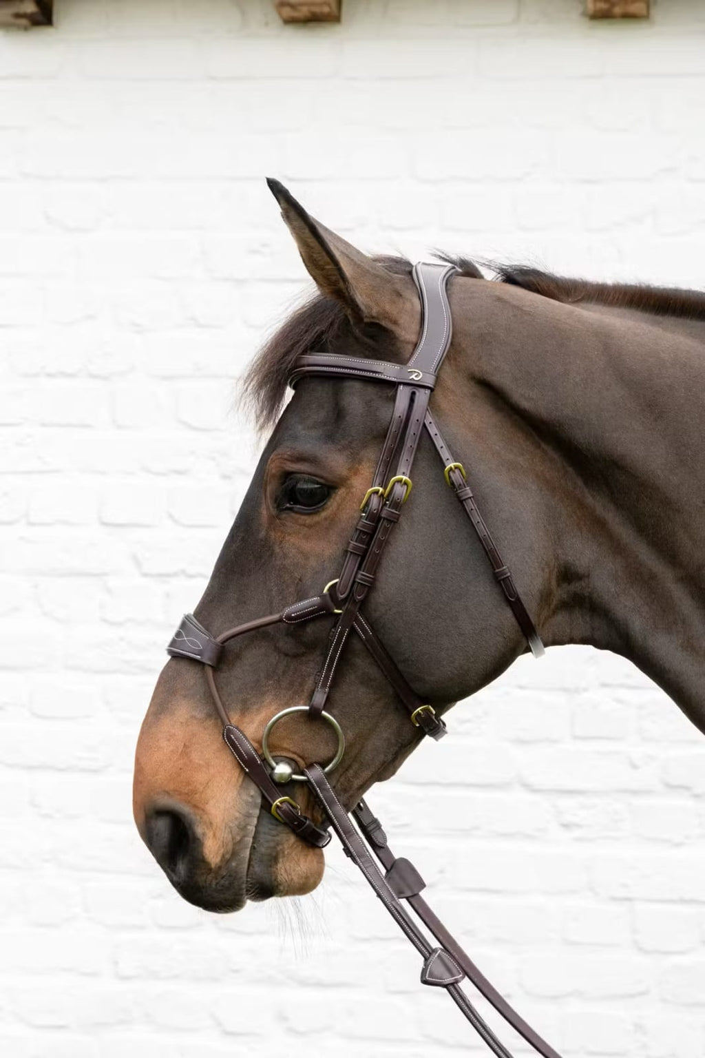 Dyon Elastic Hybrid Noseband Bridle D Collection - Løwenborg - Dy'on