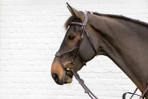 Dyon Elastic Hybrid Noseband Bridle D Collection - Løwenborg - Dy'on