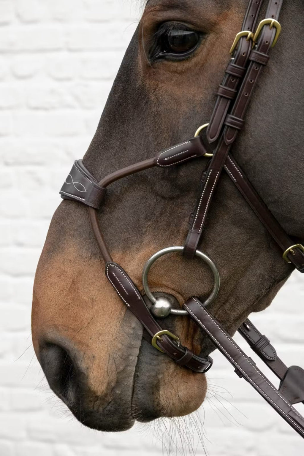 Dyon Elastic Hybrid Noseband Bridle D Collection - Løwenborg - Dy'on