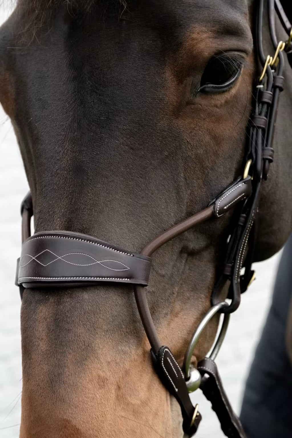 Dyon Elastic Hybrid Noseband Bridle D Collection - Løwenborg - Dy'on