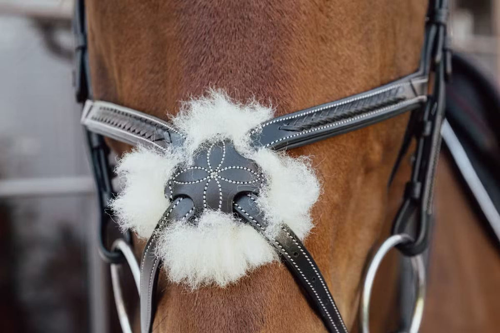 Dyon Plaited Figure 8 Noseband Bridle D Collection - Løwenborg - Dy'on