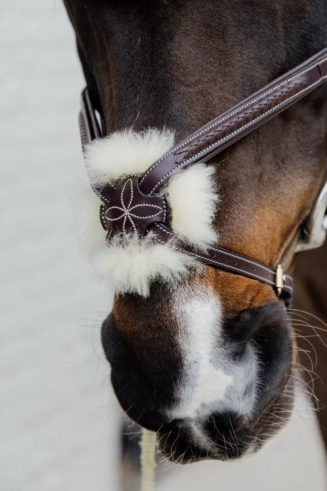Dyon Plaited Figure 8 Noseband Bridle D Collection - Løwenborg - Dy'on